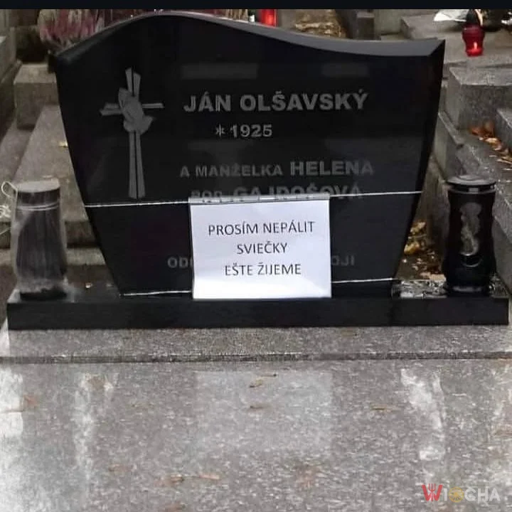 Jeszcze żyje