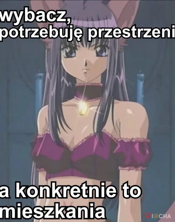Nie mam miejsca na uczucia w mojej mikrokawalerce