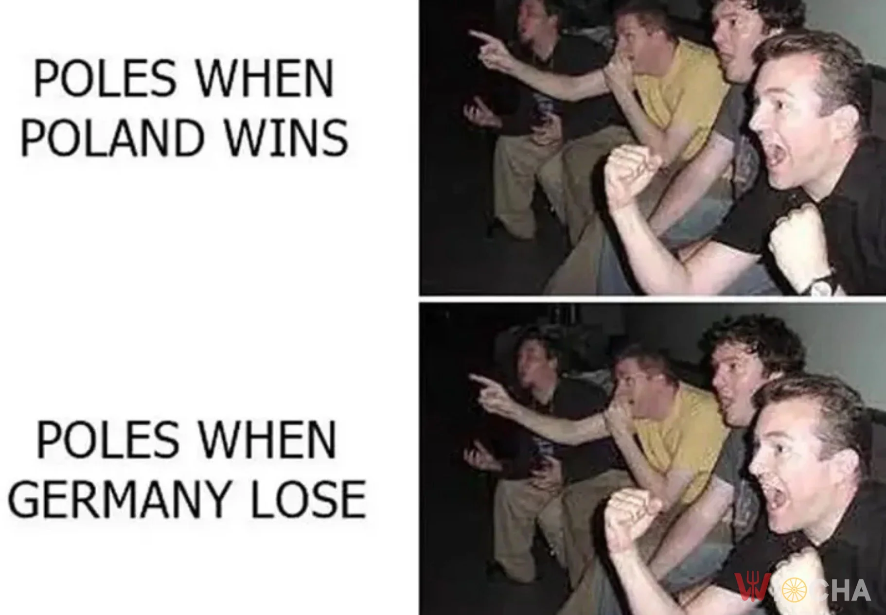 Polska górą!