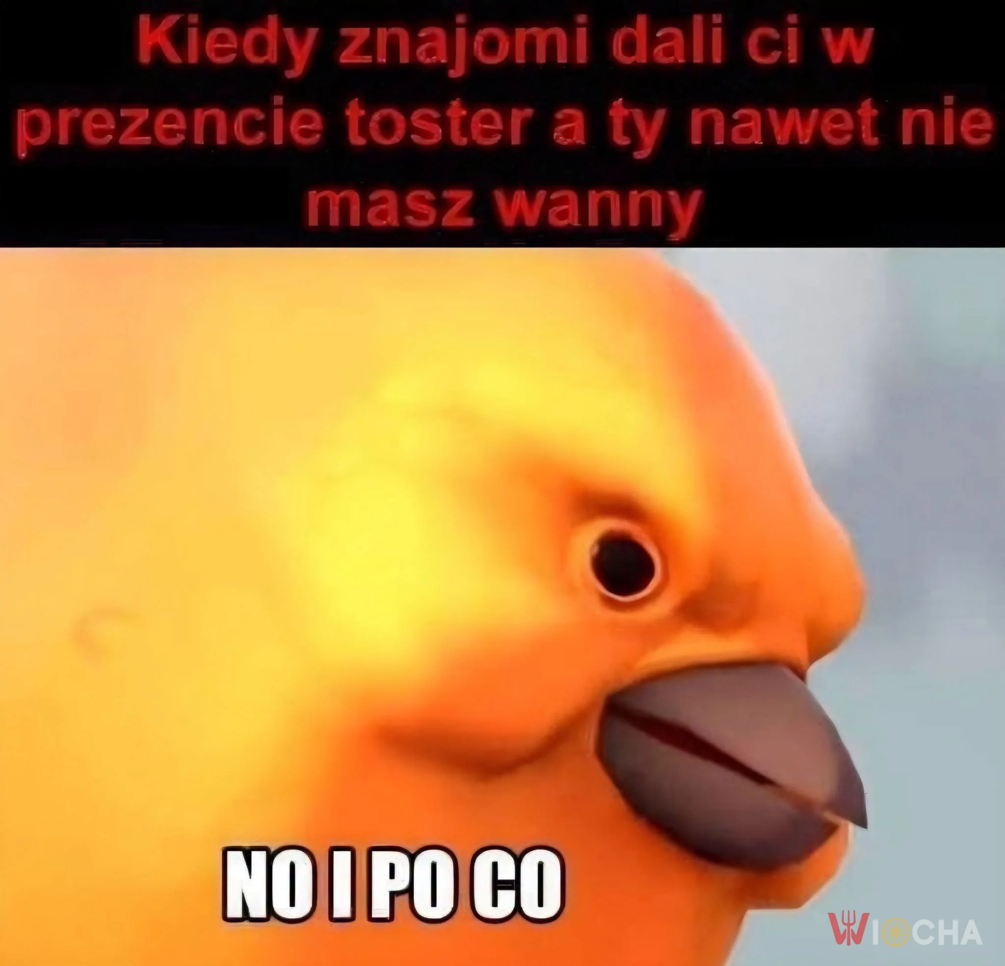Po co toster bez wanny