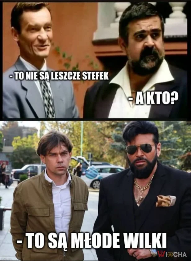 Nowe młode wilki