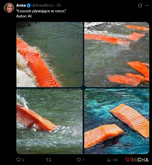 Łosoś tak wygląda w naturze