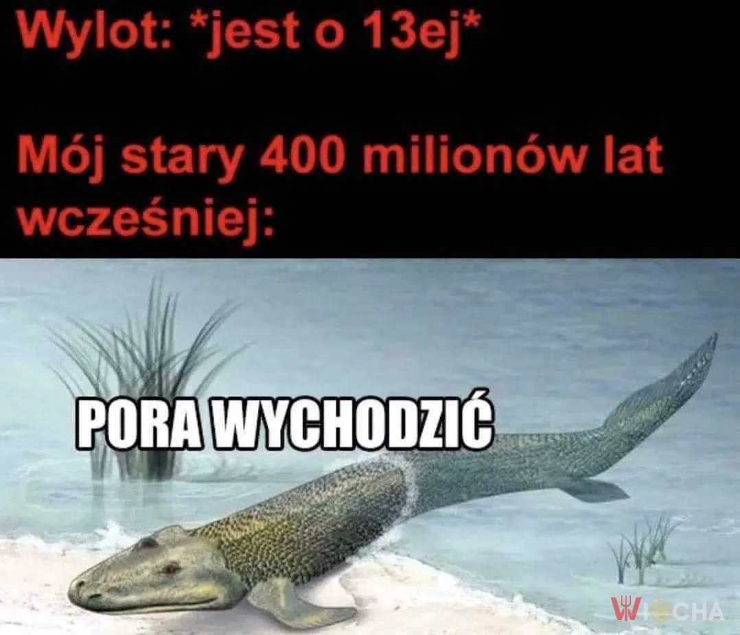 Pora iść