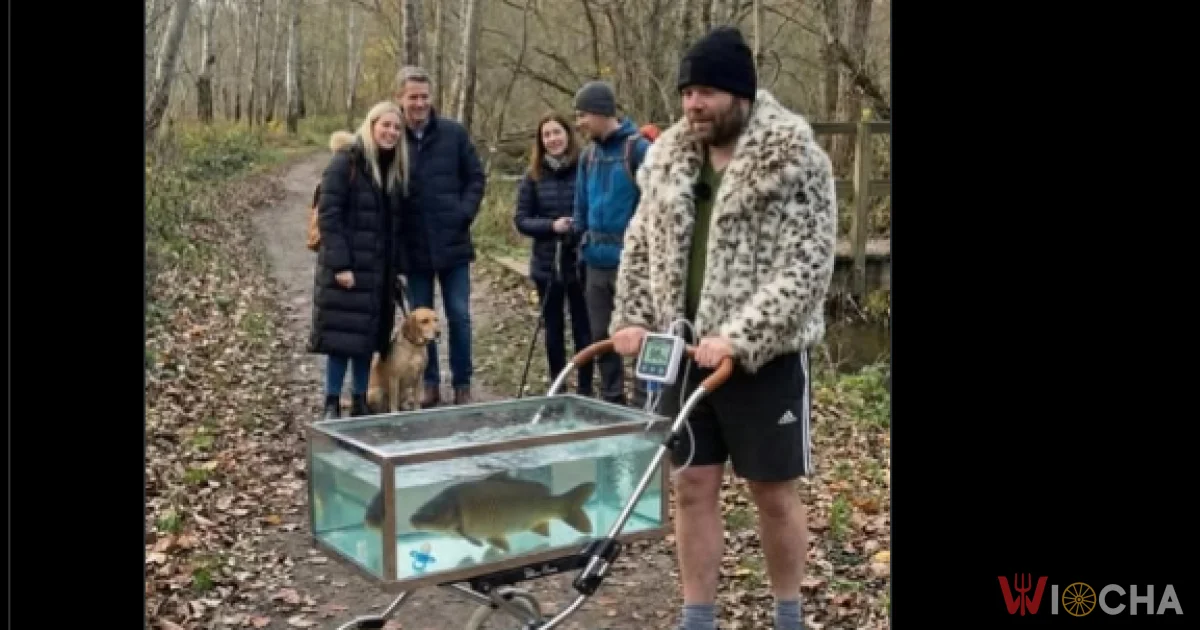Karp jest już w drodze