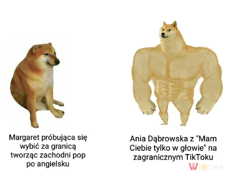 Ania Dąbrowska wie jak to robić