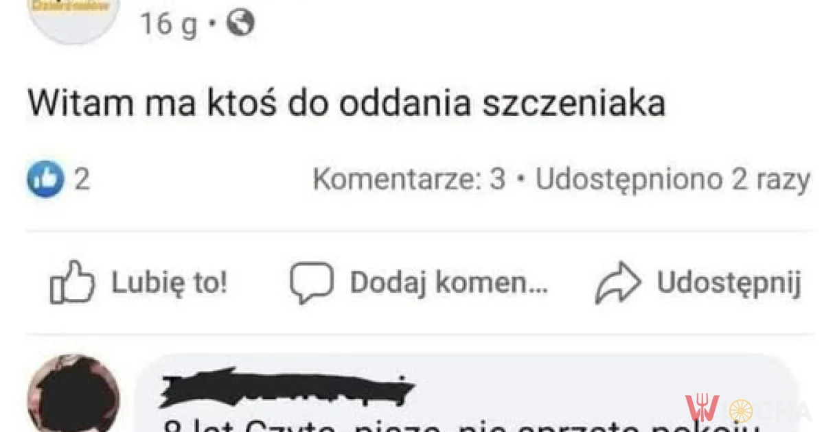 Psiecko czy dziecko?