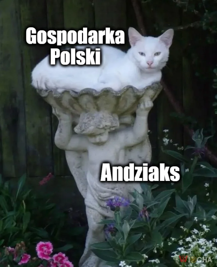 Biedna Andziaks