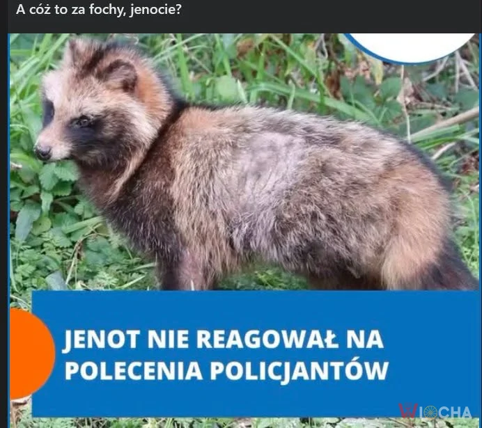 Nie reagował na polecenia policji
