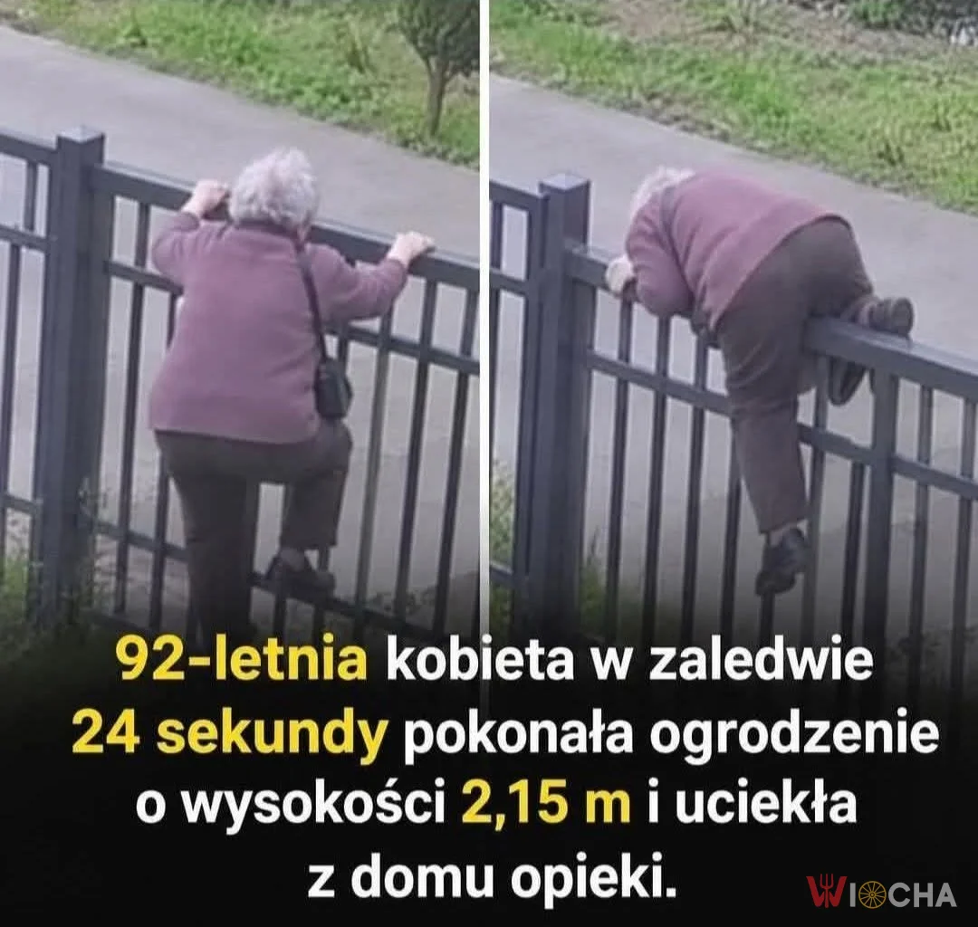 Babcia w akcji