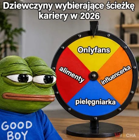 Wybór kariery 2026