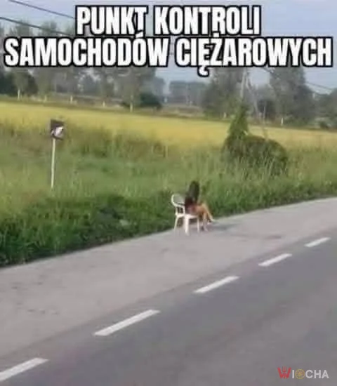 Niecodzienna kontrola