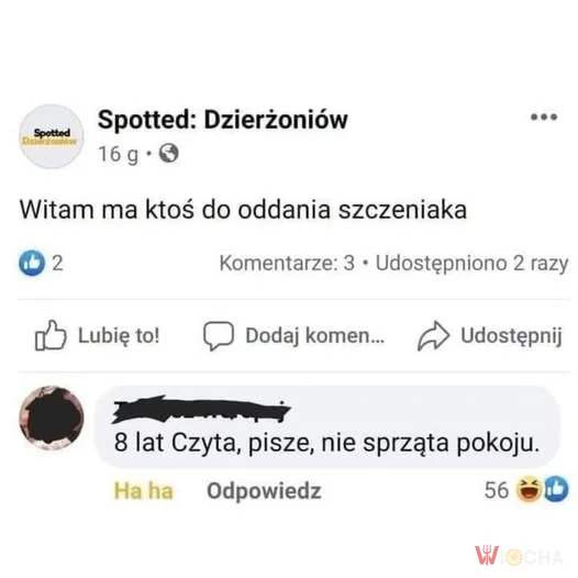 Psiecko czy dziecko?