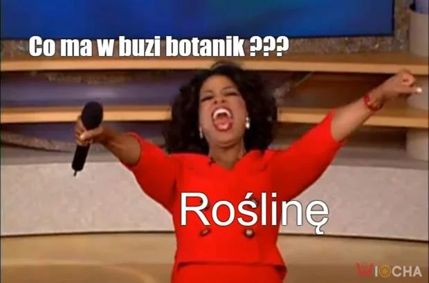 ro-ślina