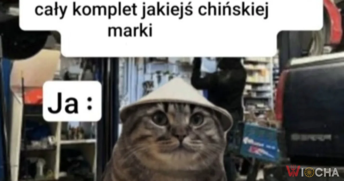 Zawsze ten sam dylemat