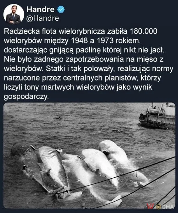 Wspaniały ustrój