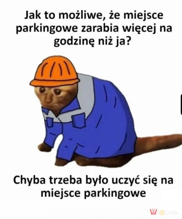 Było się uczyć na parkingowego