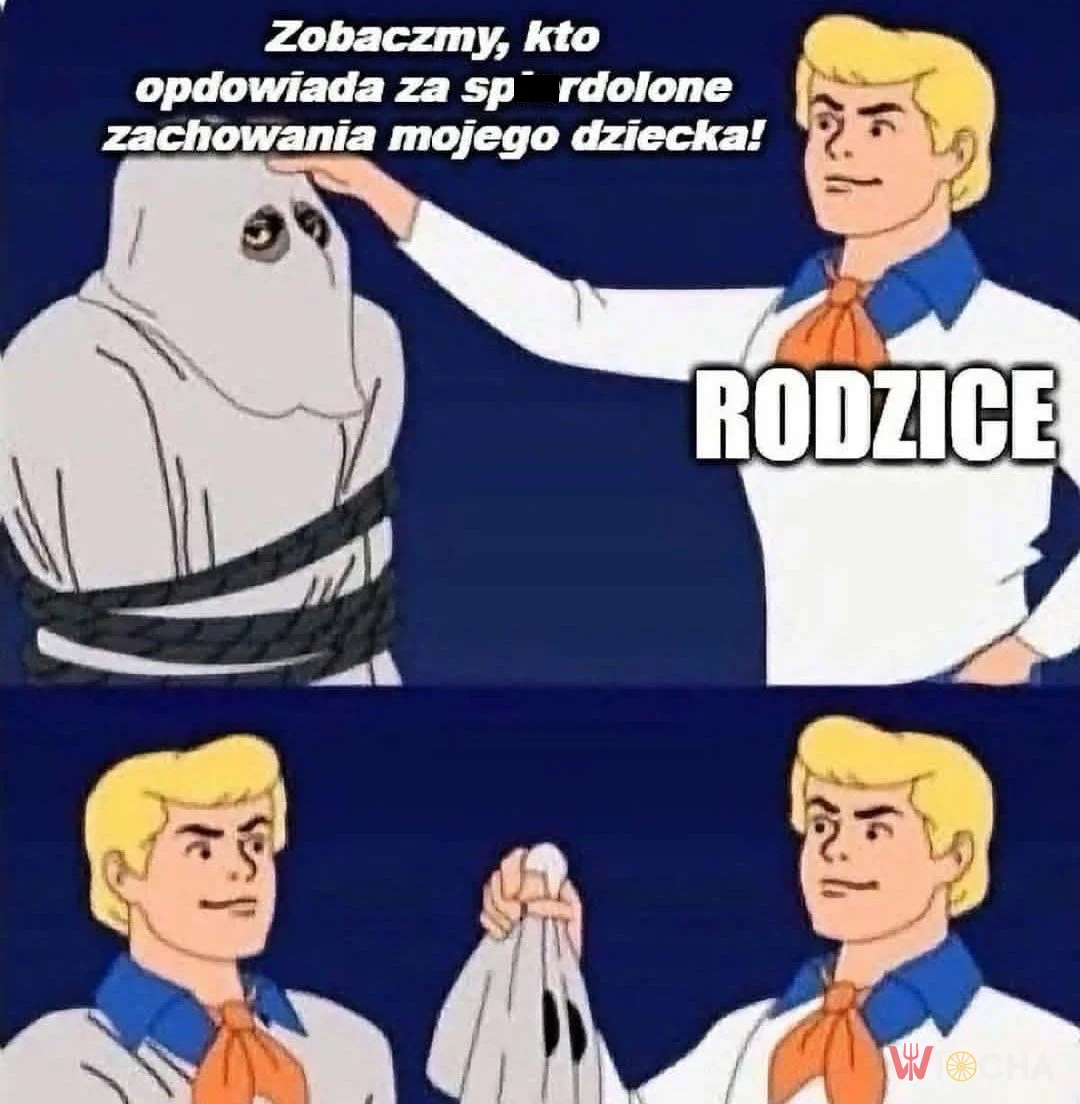 Czyja to wina?