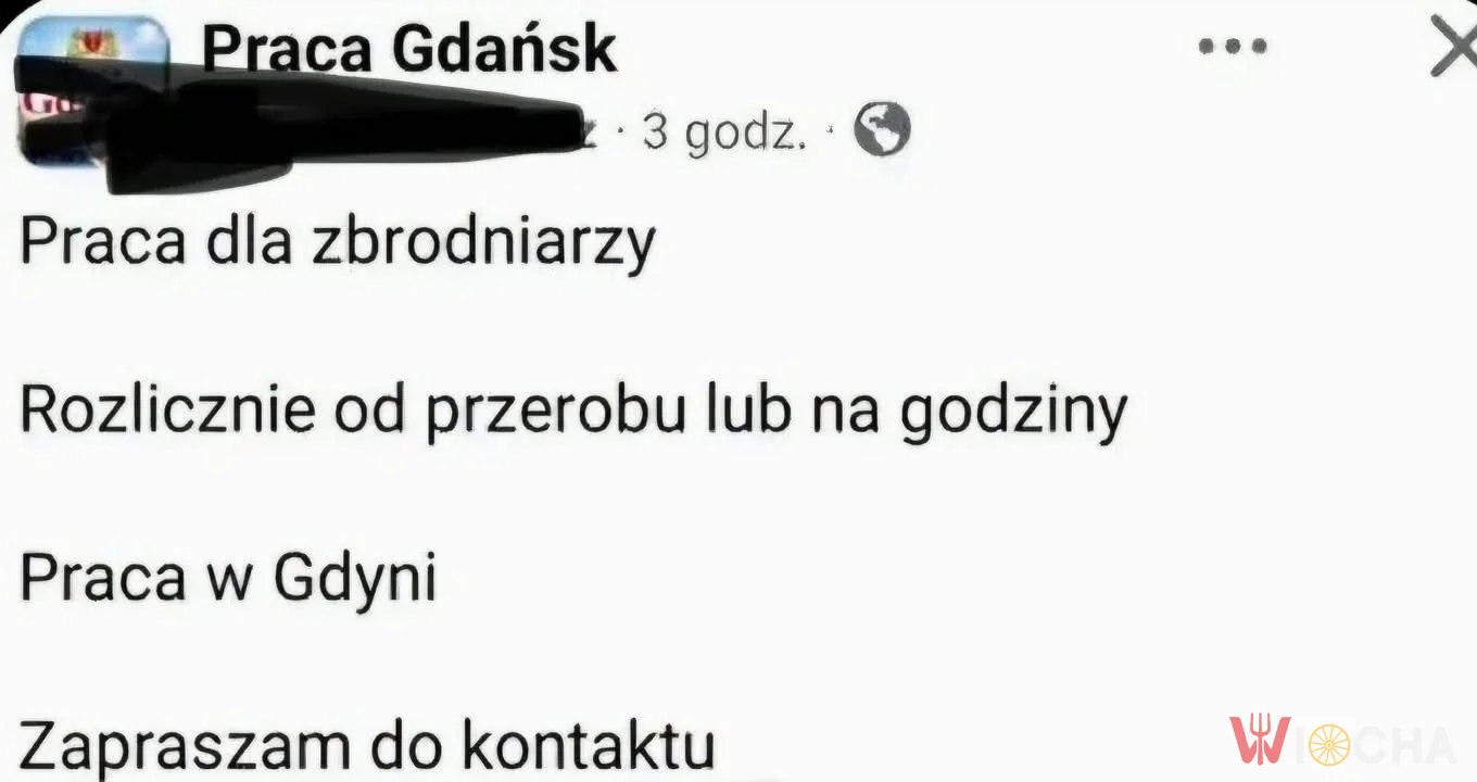 Ciekawa oferta pracy