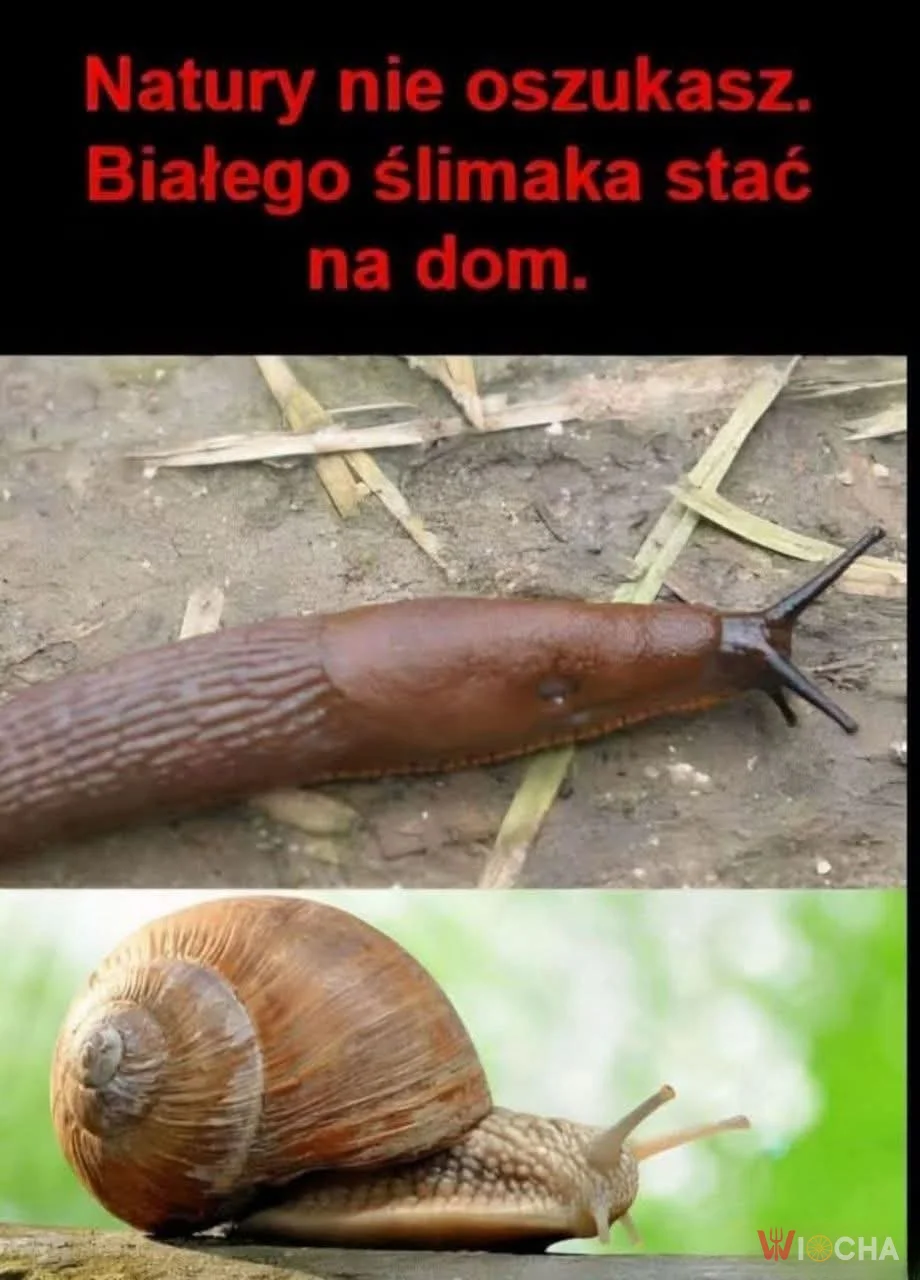 Nie ma sprawiedliwości