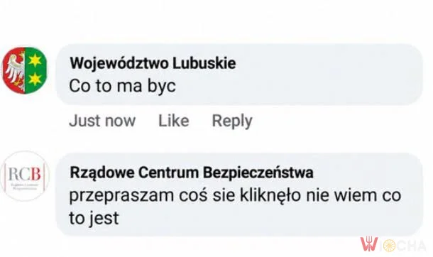 Coś się kliknęło
