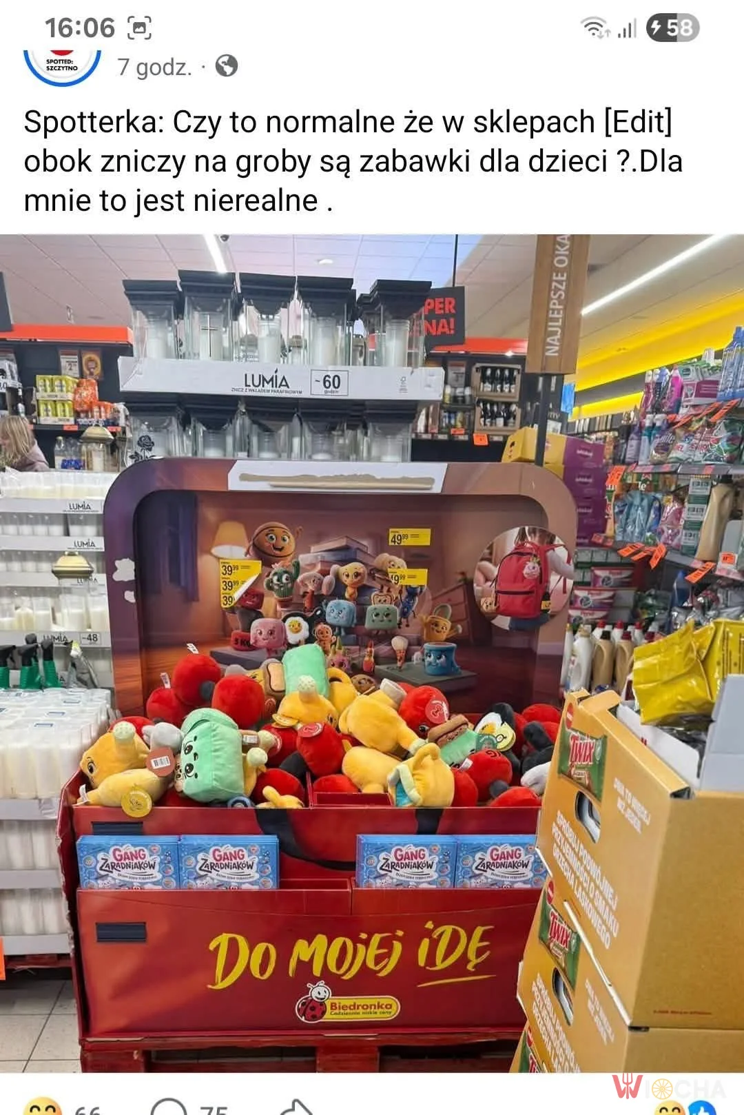 Dzieci czy umarli?