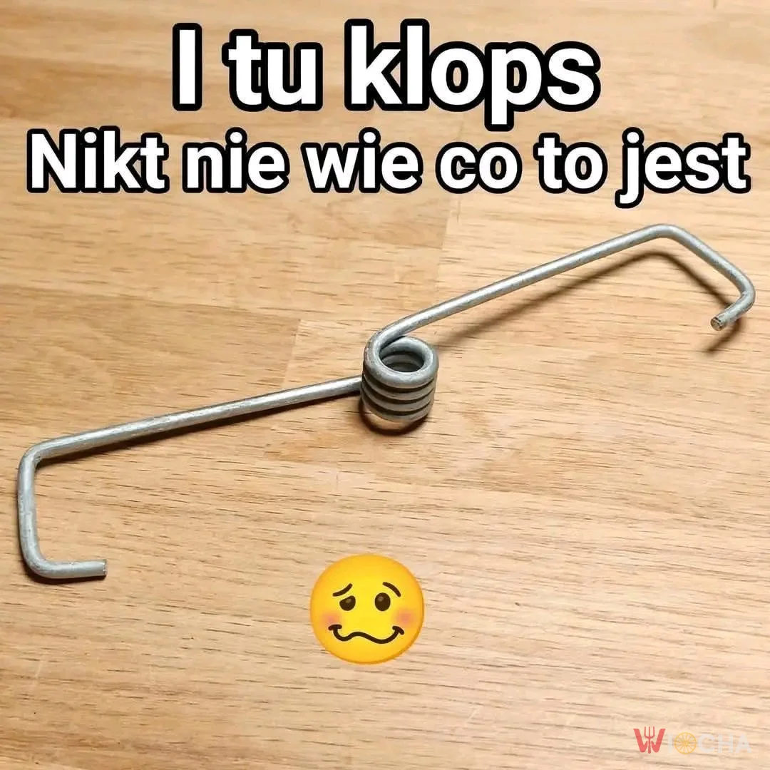 Kto wie, co to jest?