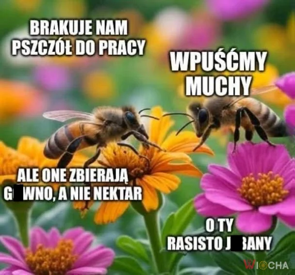 O ty rasisto