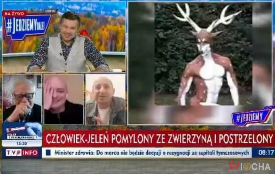 Człowiek czy jeleń?