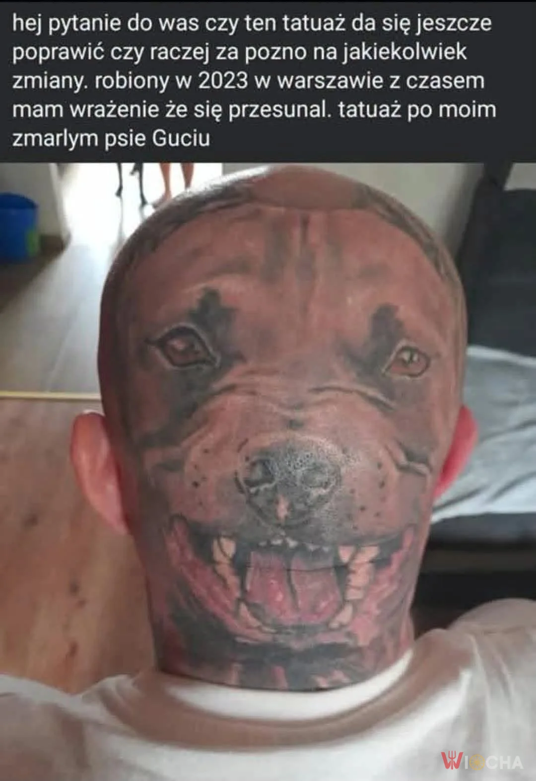 Tatuaż z pieskiem, co za ruch!