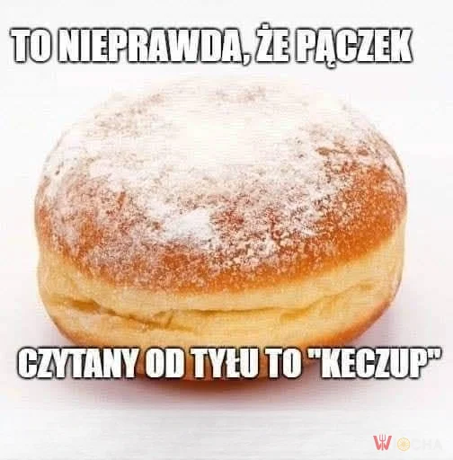 Pączek od tyłu