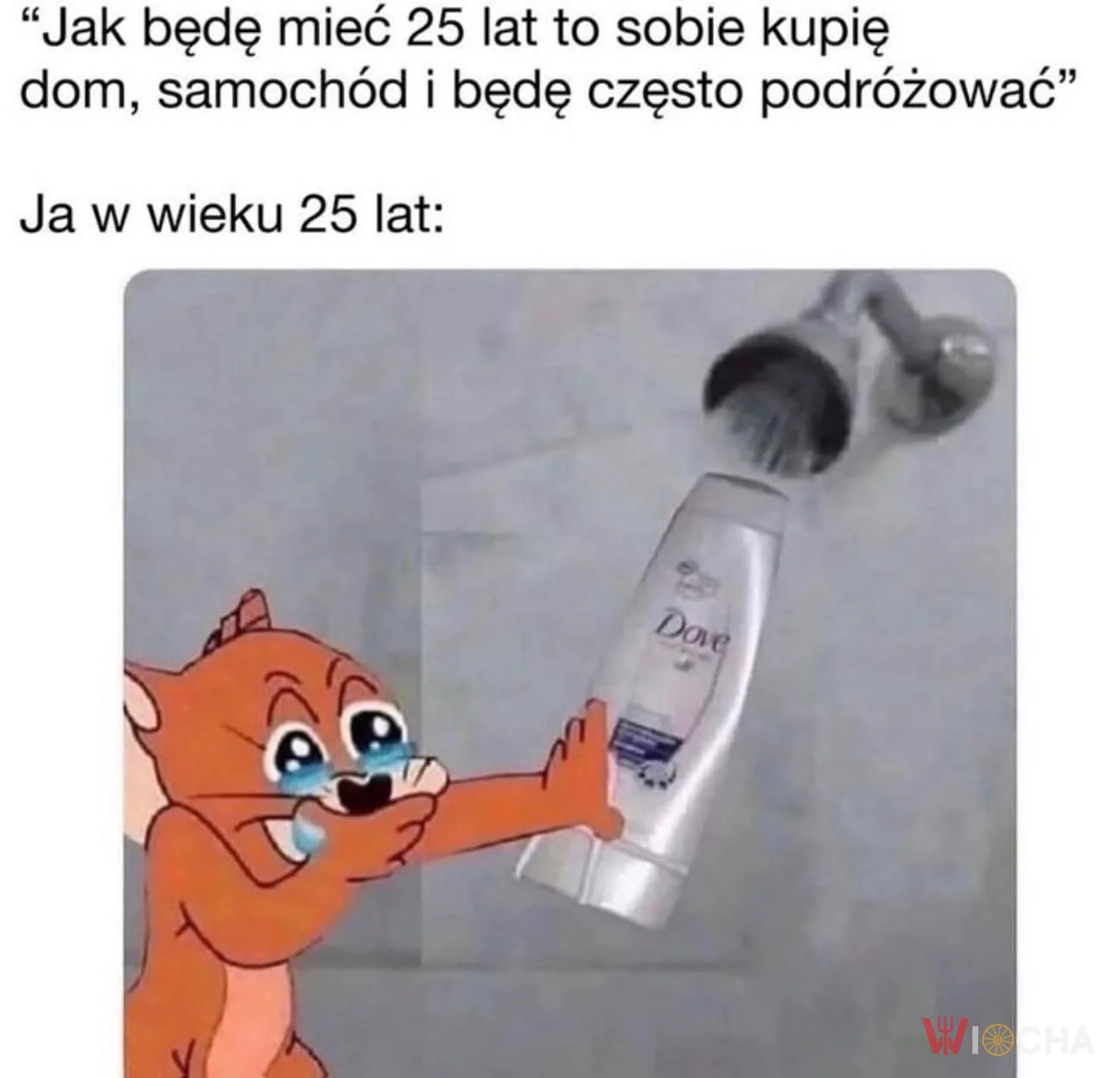 Po co marnować?