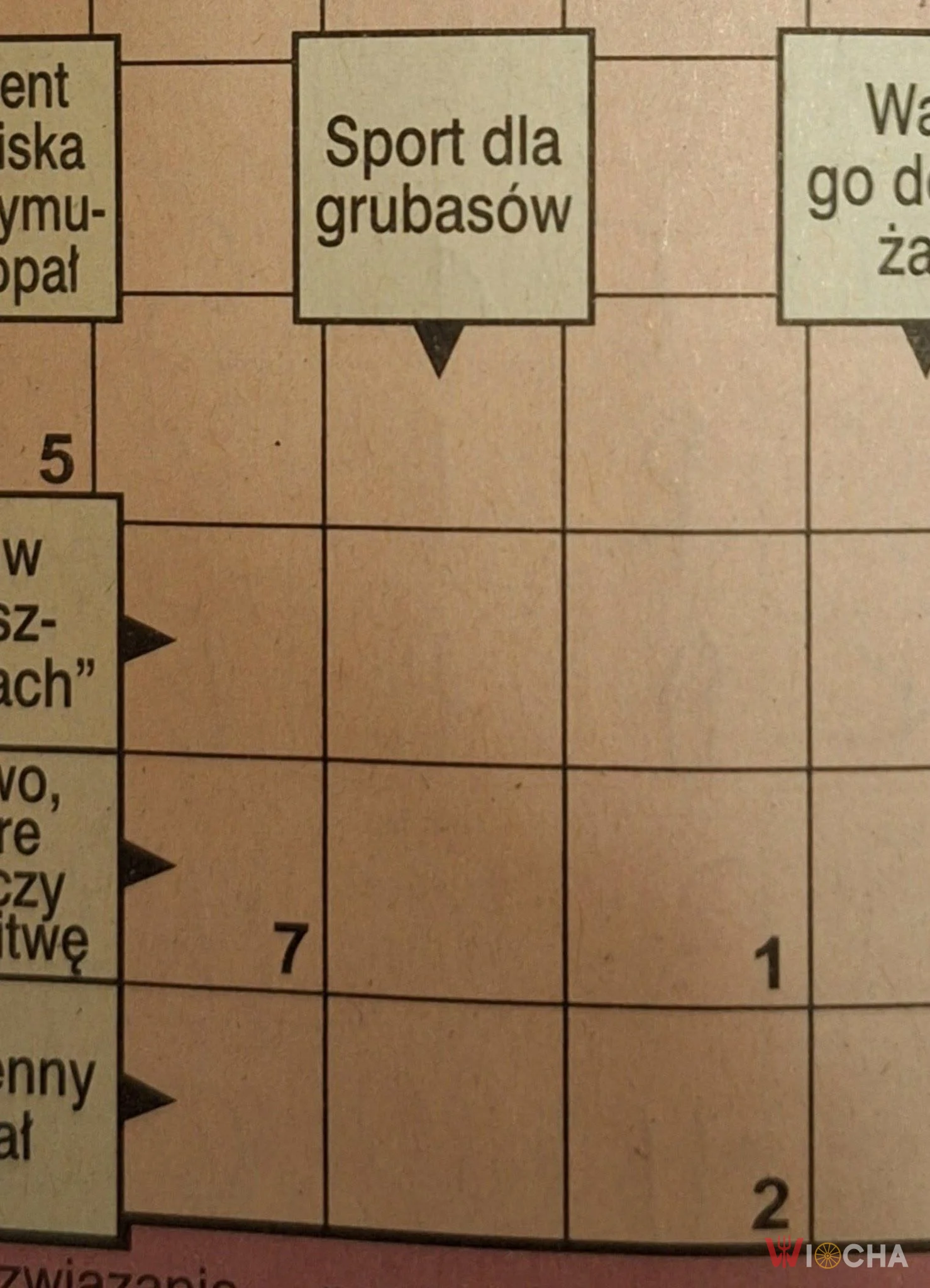 Nowa dyscyplina?