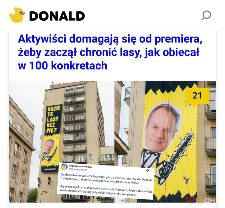Lasy na celowniku