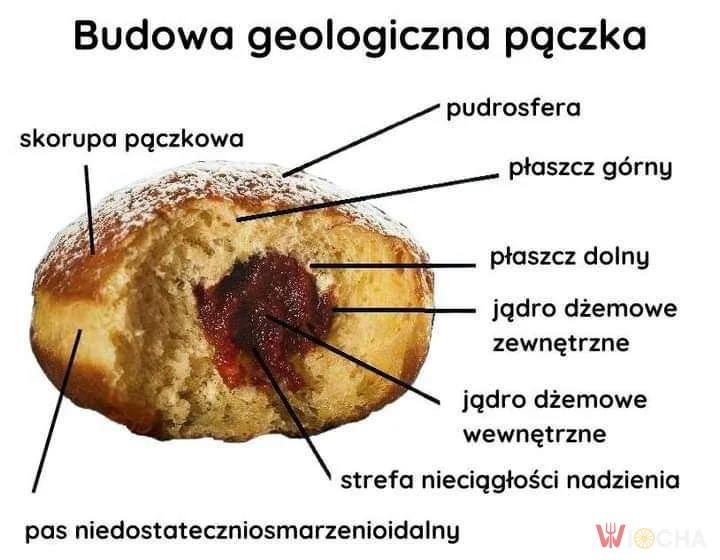 Tajemnice pączka