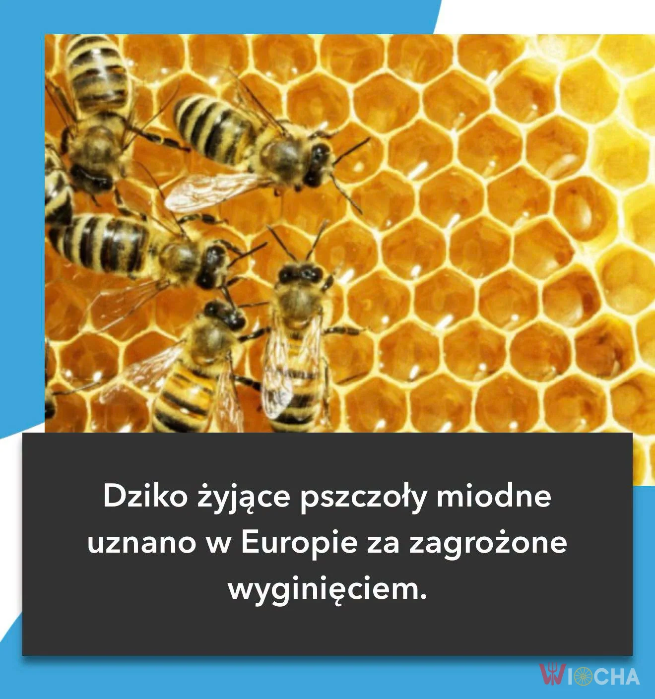 Przykre wiadomości