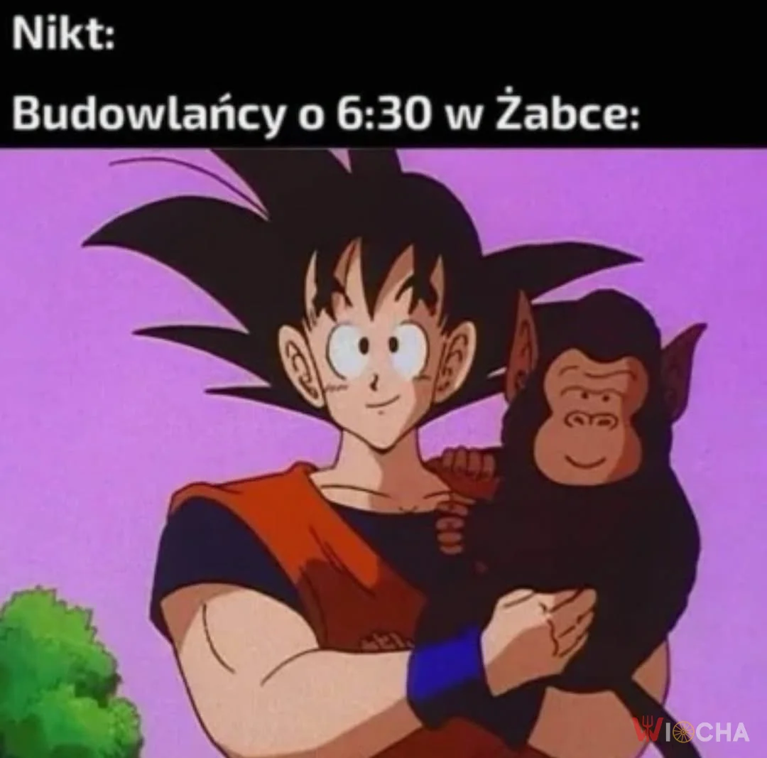 Budowlańcy od rana