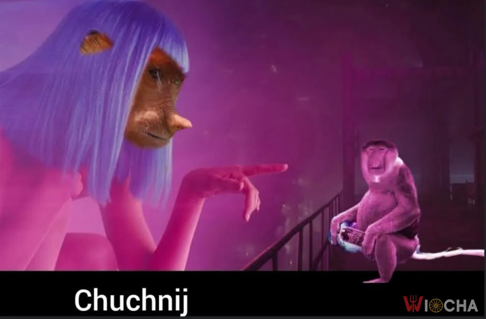 Chuchnij