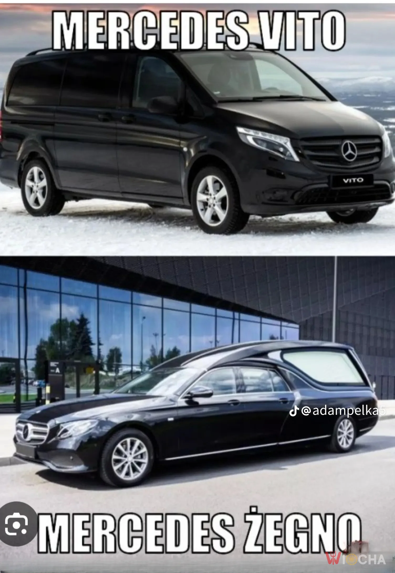 Krąg życia z Mercedesem