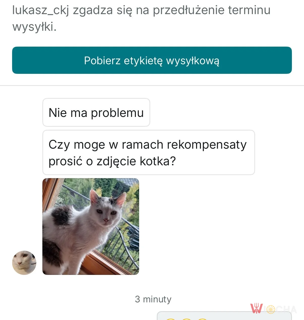 Rekompensata w postaci kotka