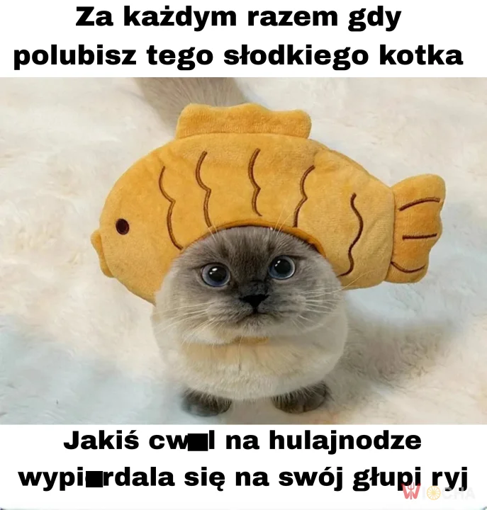 Lepiej polajkować