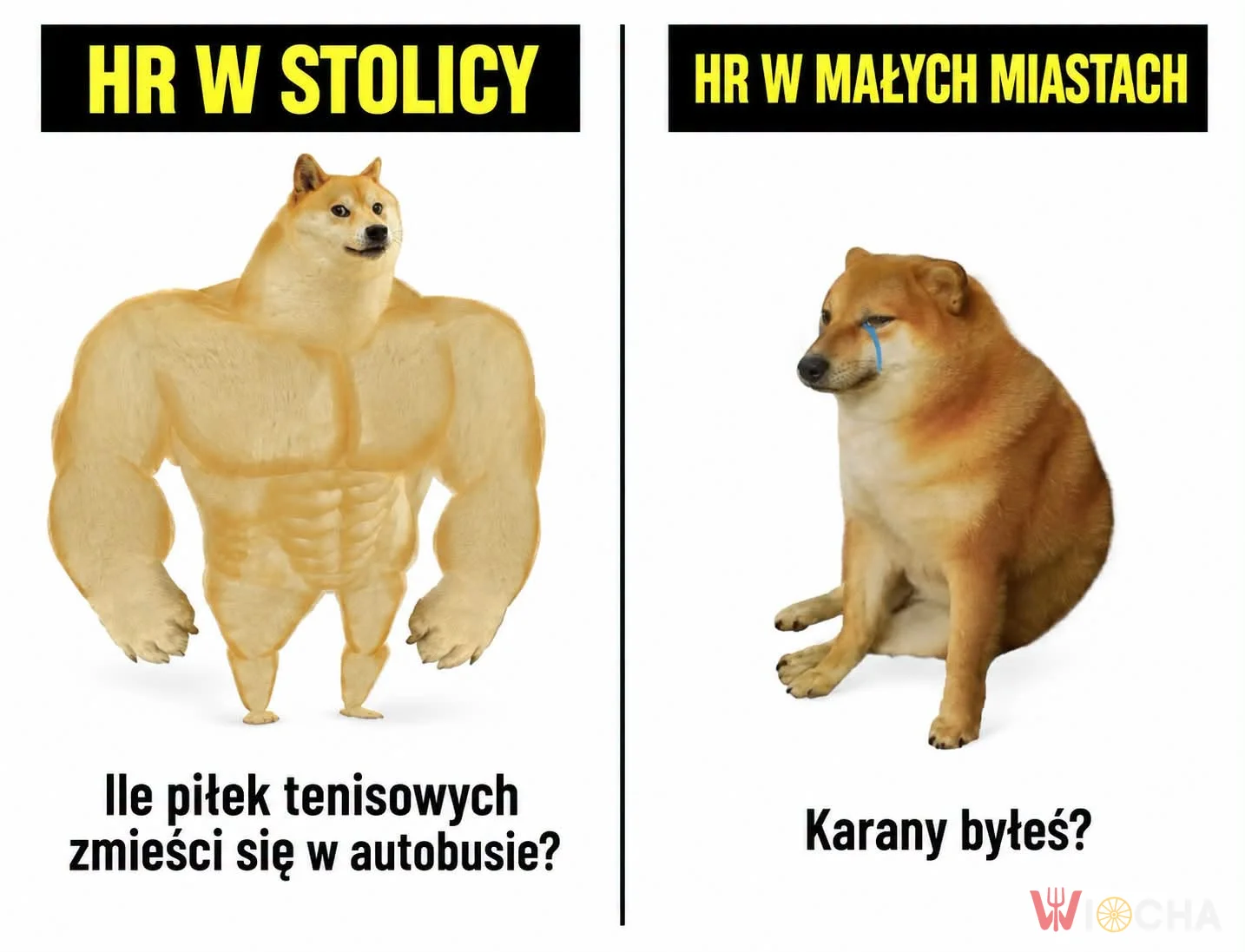 HR tu i HR tam