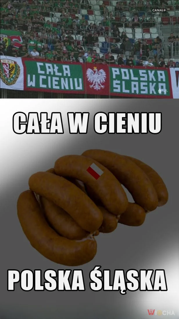 Cała w cieniu