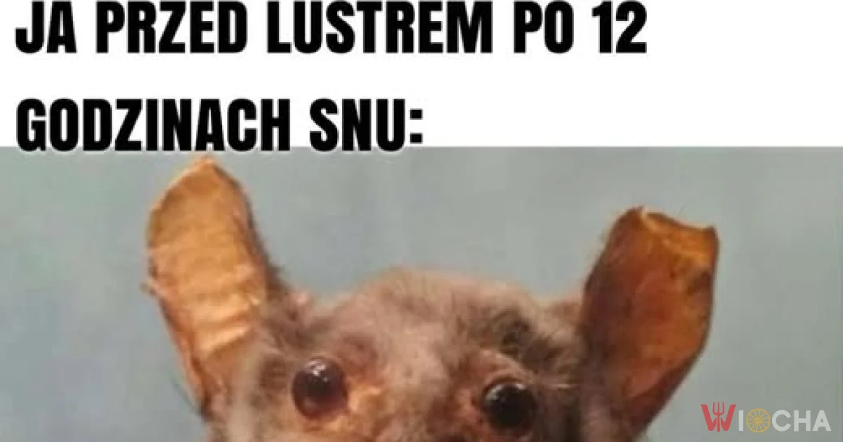 Sen to najlepszy kosmetyk