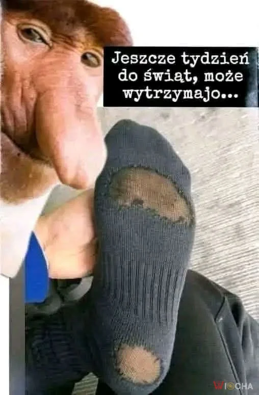 Dacie radę, mężczyźni