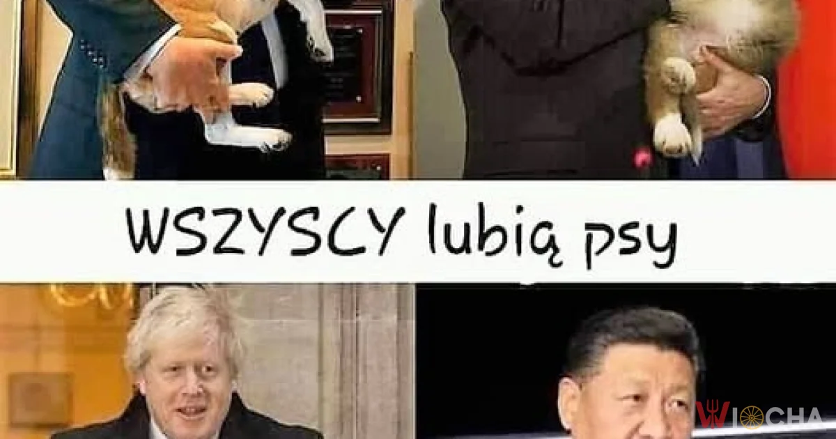 Psy łączą ludzi
