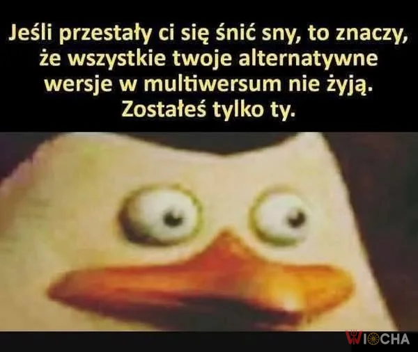 Zostałeś tylko ty
