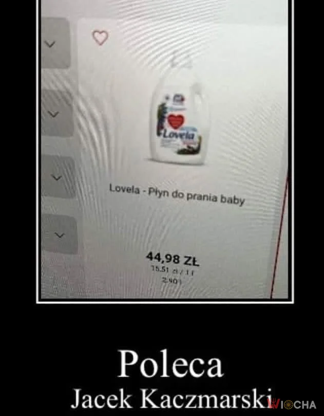 Jacek Kaczmarski poleca