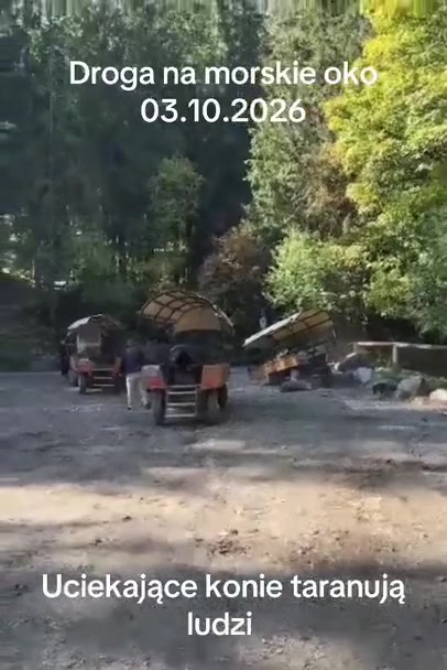 Konie na Morskim Oku ruszyły w stronę turystów
