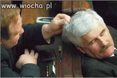 W końcu człowiek pochodzi od małpy...
