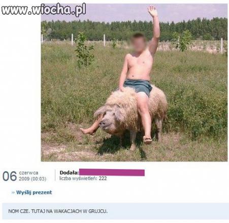 Świnioowca z Grujca